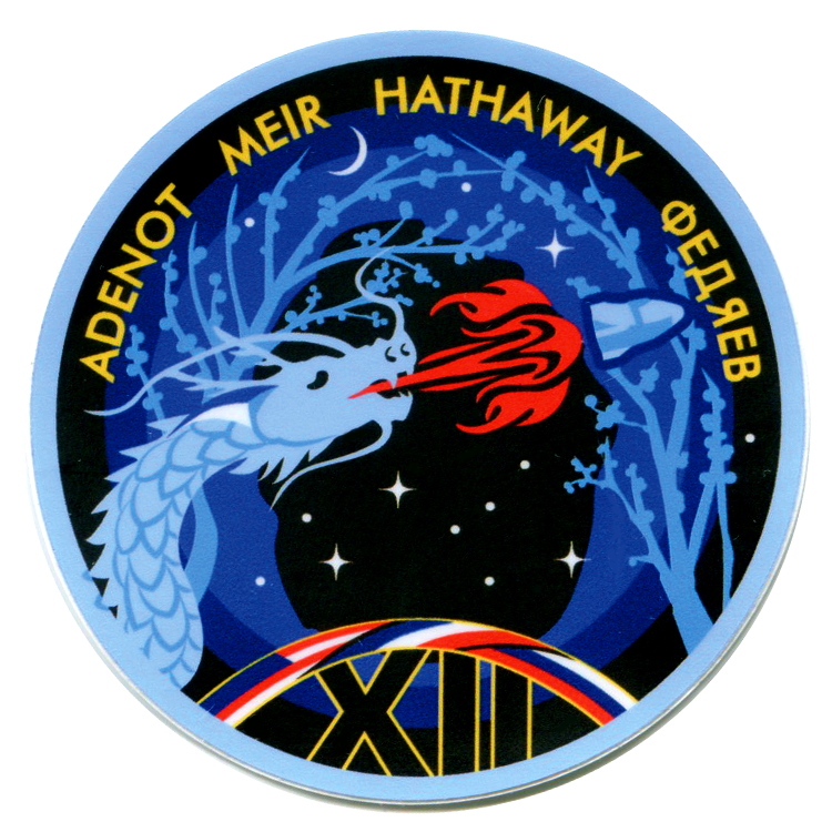 Crew-12 Decal