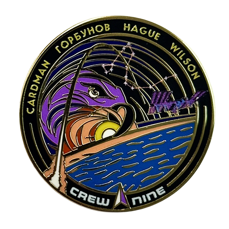 Crew 9 Lapel Pin