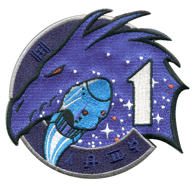 Crew-1 - Space Patches