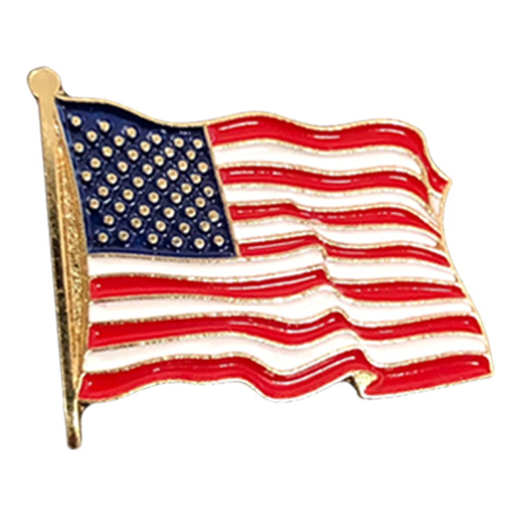 USA Flag Pin - Space Patches
