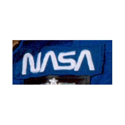 NASA Worm ALT
