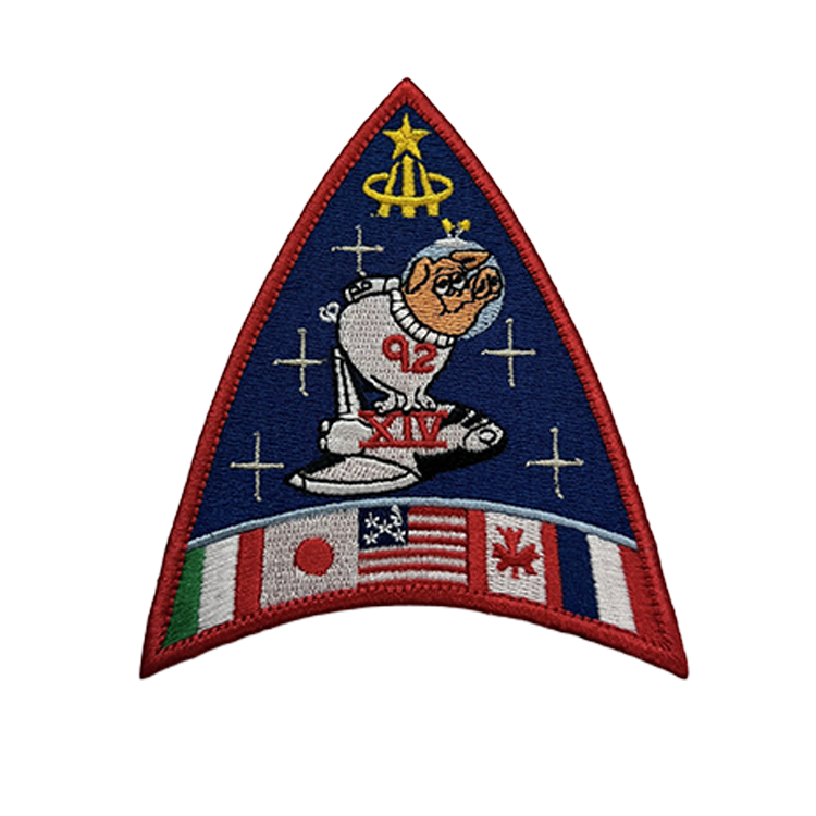 ASCAN Class 14 - Special Pigs