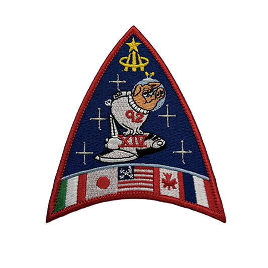 ASCAN Class 14 - Special Pigs