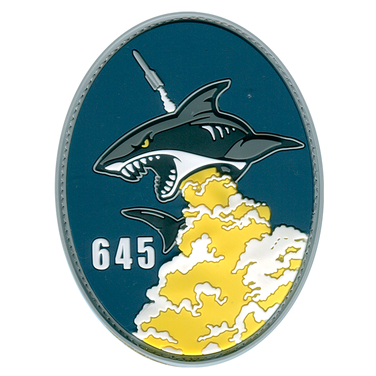 645 Cyberspace Squadron