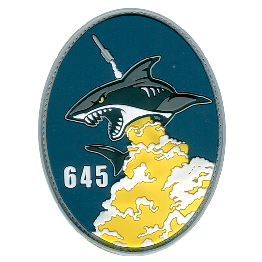 645 Cyberspace Squadron