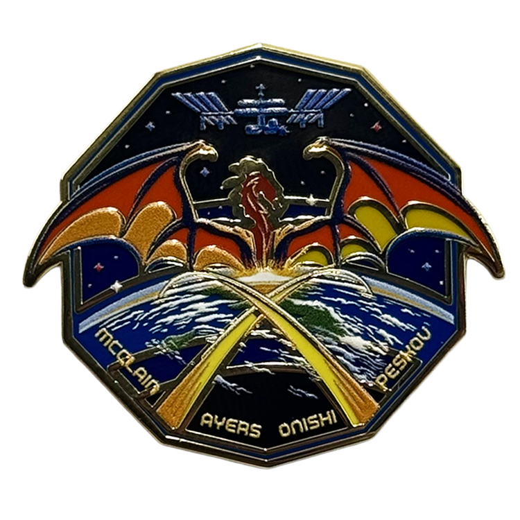 Crew 10 Lapel Pin – Space Patches