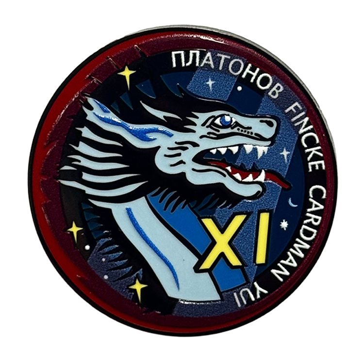 Crew 11 Lapel Pin