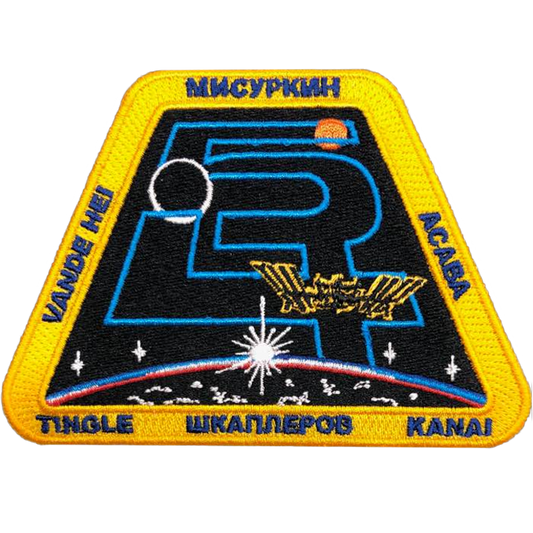 Expedition 54 - Space Patches
