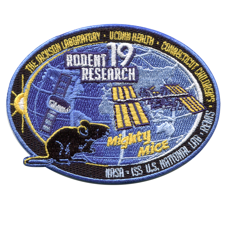 Rodent Rocket Rodent Research 19 – Space Patches
