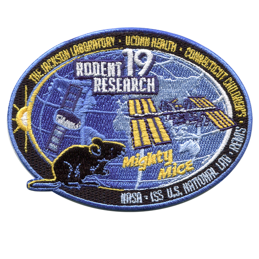 Rodent Research 19 - Space Patches