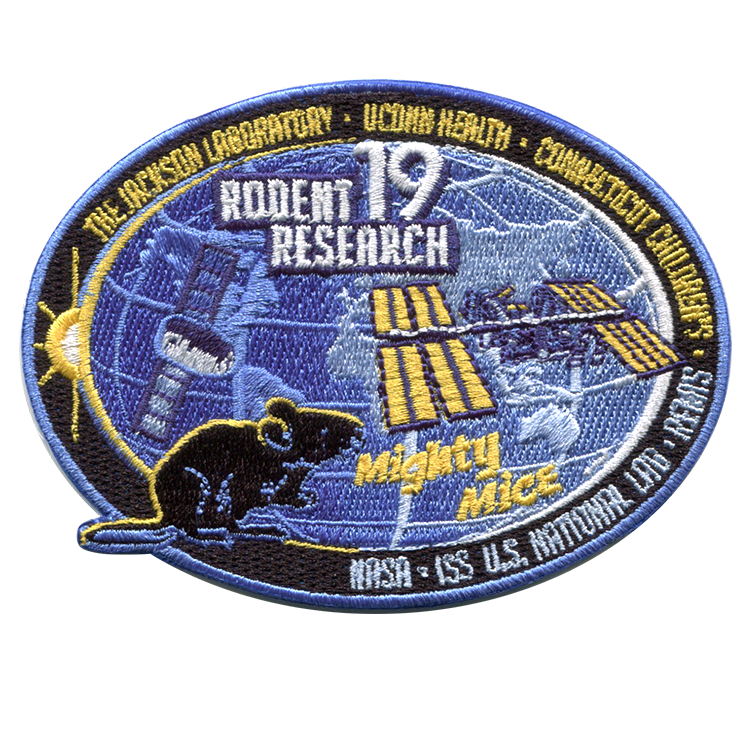 Rodent Research 19 - Space Patches